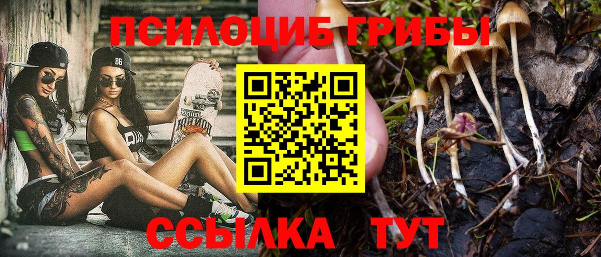 Каменка  Псилоцибиновые грибы Psilocybine cubensis  Вход с VPN  Галлюциногенные грибы Cubensis 